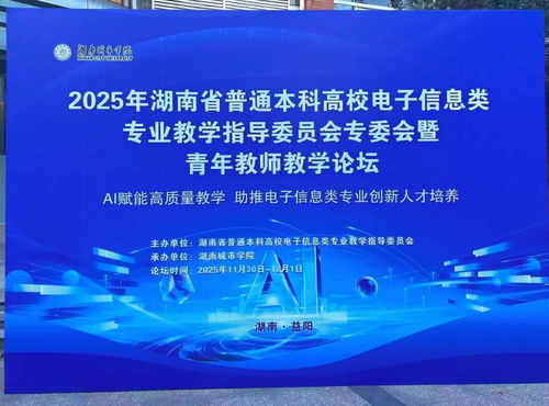 聚智同行，共促成長(zhǎng) 小眼睛科技受邀亮相2025湖南省電子信息學(xué)術(shù)年會(huì)
