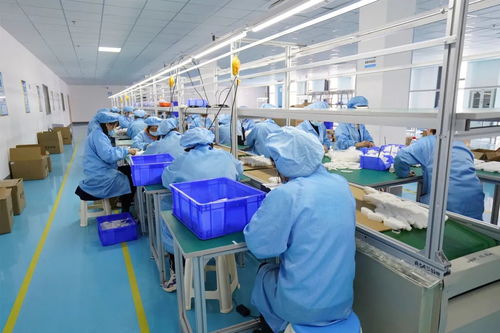 雙品牌驅動與雙工廠投資 國內貿易的協(xié)同發(fā)展之路